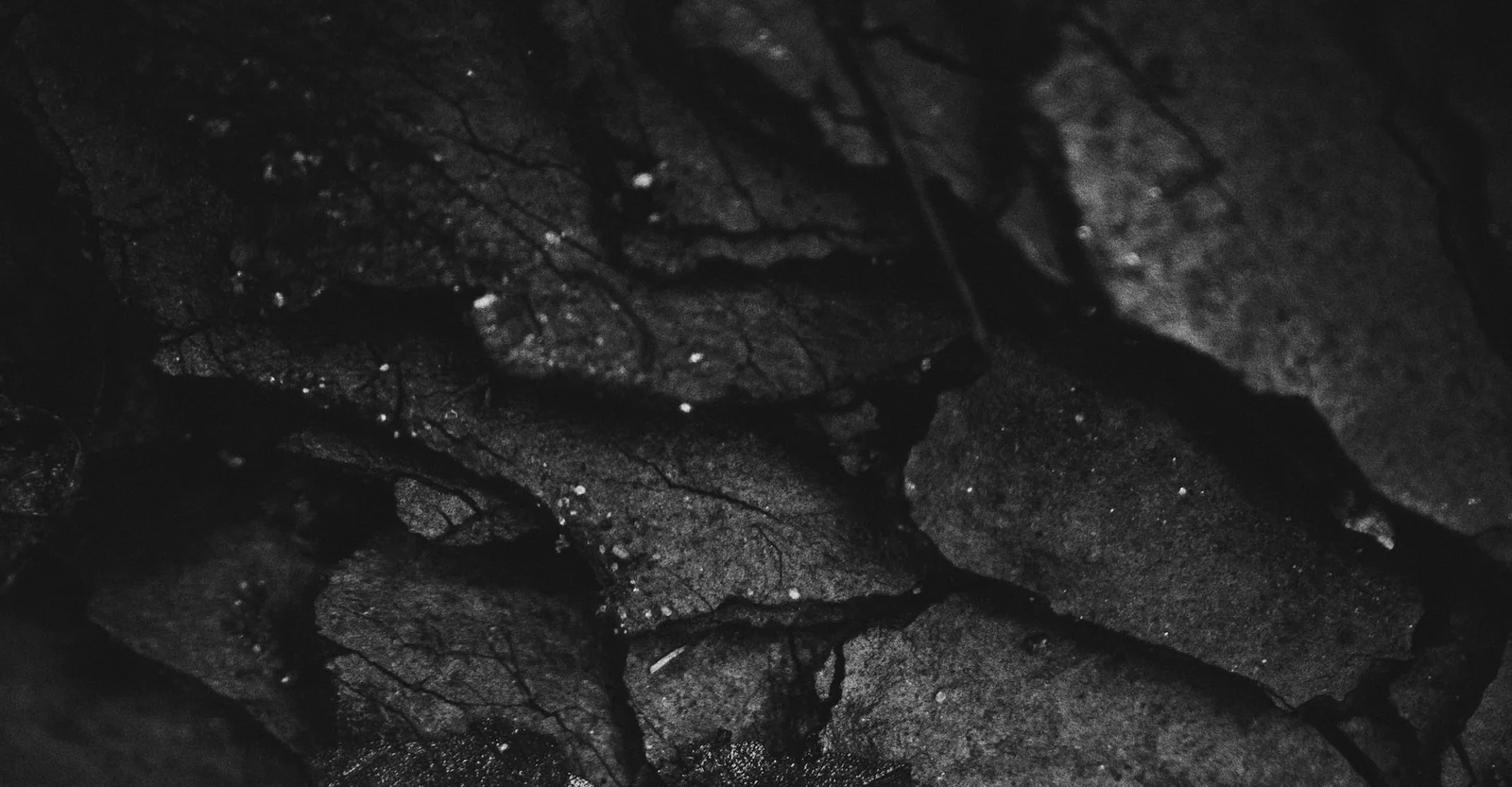 Expanding Market Reach Through Strategic Business Development